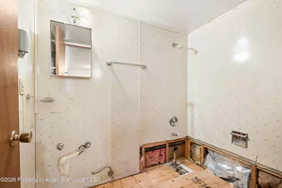 298 Rose Lane, Carbondale, CO 81623 - Photo 20