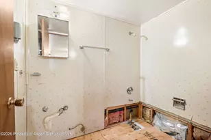 298 Rose Ln, Carbondale, CO 81623 - Photo 20