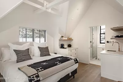 134 E Bleeker Street, Aspen, CO 81611 - Photo 36