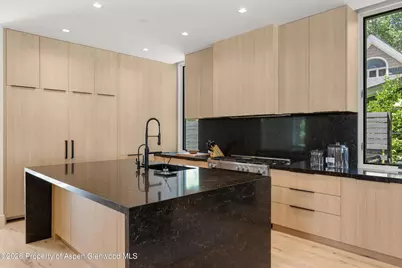 219 W Bleeker Street, Aspen, CO 81611 - Photo 10