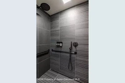 520 E Cooper Avenue #C7, Aspen, CO 81611 - Photo 6