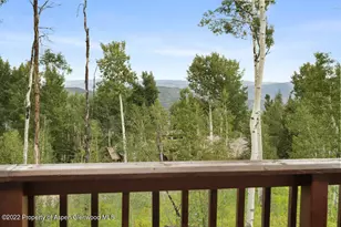 2055 Faraway Rd, Snowmass Village, CO 81615 - Photo 28