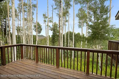 2055 Faraway Road, Snowmass Village, CO 81615 - Photo 30