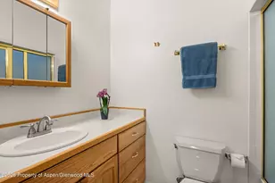 6135 Co Rd 109, Carbondale, CO 81623 - Photo 14