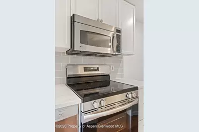 414 Pacific Avenue #G, Aspen, CO 81611 - Photo 24