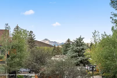 414 Pacific Avenue #G, Aspen, CO 81611 - Photo 26