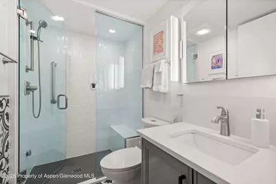 450 S Original Street #4, Aspen, CO 81611 - Photo 8