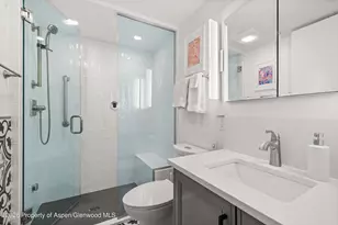 450 S Original St, Aspen, CO 81611 - Photo 8