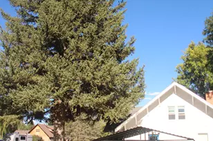 880 Main St, Meeker, CO 81641 - Photo 2