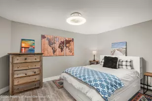 766 Lincoln Ave, Carbondale, CO 81623 - Photo 8