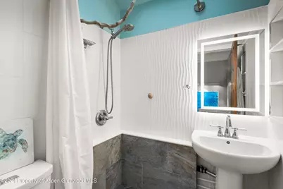 766 Lincoln Avenue, Carbondale, CO 81623 - Photo 6