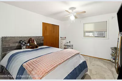 207 Ash Avenue, Rifle, CO 81650 - Photo 18