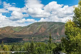 264 Larkspur Ln, Aspen, CO 81611 - Photo 48