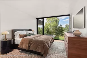 264 Larkspur Ln, Aspen, CO 81611 - Photo 34