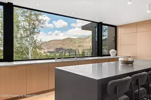 264 Larkspur Ln, Aspen, CO 81611 - Photo 16