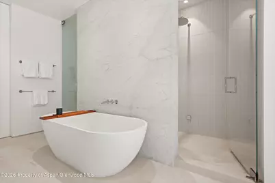 264 Larkspur Lane, Aspen, CO 81611 - Photo 22
