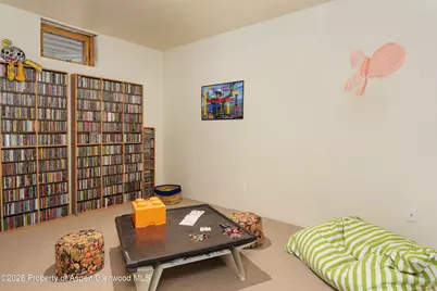660 Lincoln Avenue, Carbondale, CO 81623 - Photo 20