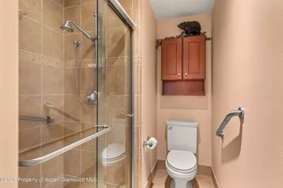 1504 Mockingbird Lane, Basalt, CO 81621 - Photo 20