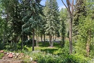 117 S Little Texas Ln, Woody Creek, CO 81656 - Photo 30