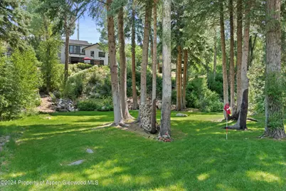 117 S Little Texas Lane, Woody Creek, CO 81656 - Photo 40