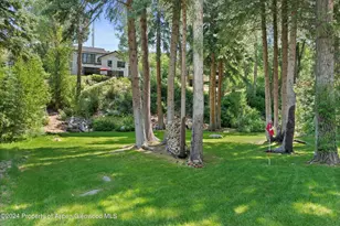 117 S Little Texas Ln, Woody Creek, CO 81656 - Photo 40