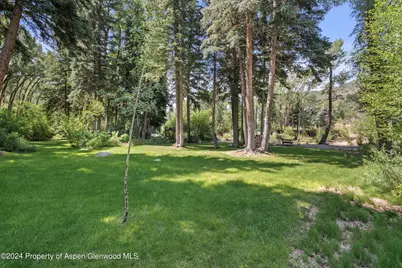117 S Little Texas Lane, Woody Creek, CO 81656 - Photo 32