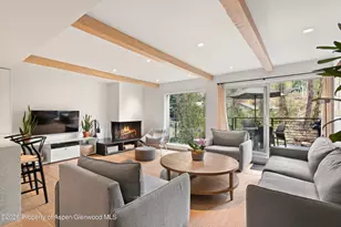 1039 E Cooper Ave, Aspen, CO 81611 - Photo 20