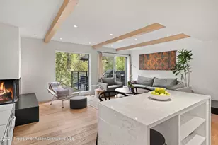 1039 E Cooper Ave, Aspen, CO 81611 - Photo 24
