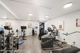 1039 E Cooper Ave, Aspen, CO 81611 - Photo 40