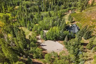 6067 Woody Creek Rd, Woody Creek, CO 81656 - Photo 4