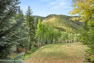 6067 Woody Creek Rd, Woody Creek, CO 81656 - Photo 32