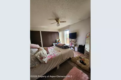 910 W 24th Street, Rifle, CO 81650 - Photo 12
