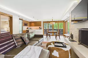 400 W Hopkins Ave, Aspen, CO 81611 - Photo 2