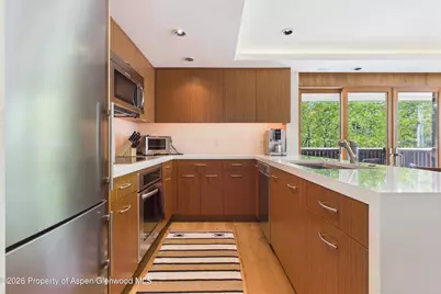 400 W Hopkins Avenue #6/7, Aspen, CO 81611 - Photo 4