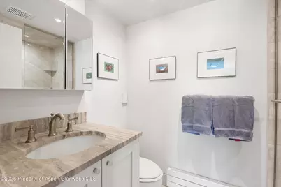 1301 McLaughlin Lane, Basalt, CO 81621 - Photo 28