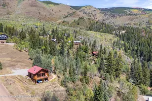 1301 McLaughlin Ln, Basalt, CO 81621 - Photo 34