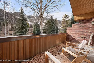 830 E Durant Avenue #8, Aspen, CO 81611 - Photo 30