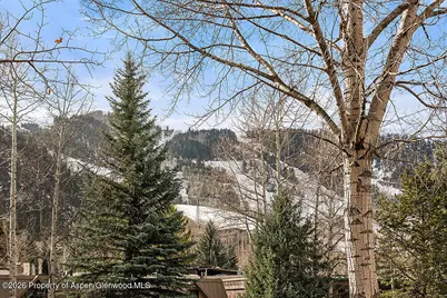 830 E Durant Avenue #8, Aspen, CO 81611 - Photo 28
