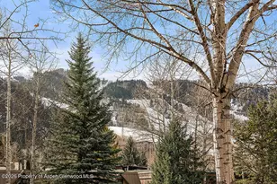 830 E Durant Ave, Aspen, CO 81611 - Photo 28