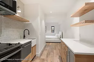 830 E Durant Ave, Aspen, CO 81611 - Photo 22