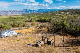 9121 54 Rd, Mesa, CO 81643 - Photo 26