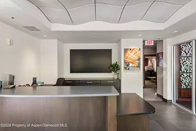 601 Rio Grande Place #101, Aspen, CO 81611 - Photo 6