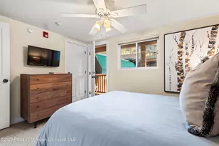 914 Waters Ave, Aspen, CO 81611 - Photo 10