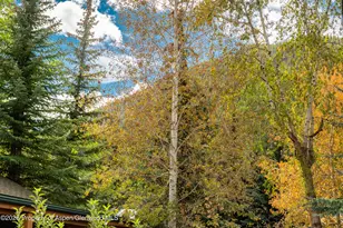 914 Waters Ave, Aspen, CO 81611 - Photo 12