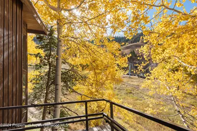800 S Monarch Street #Unit 9, Aspen, CO 81611 - Photo 10