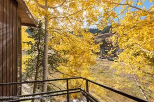 800 S Monarch St, Aspen, CO 81611 - Photo 10