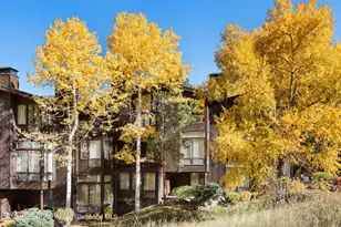 800 S Monarch St, Aspen, CO 81611 - Photo 1