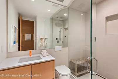 800 S Monarch Street #Unit 9, Aspen, CO 81611 - Photo 22