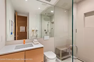 800 S Monarch St, Aspen, CO 81611 - Photo 22