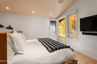 800 S Monarch Street #Unit 9, Aspen, CO 81611 - Photo 18
